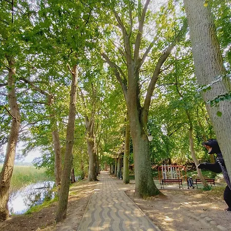 Camping Obok Plazy Moryn