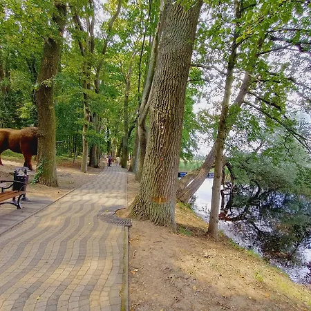 Campingplads Obok Plazy