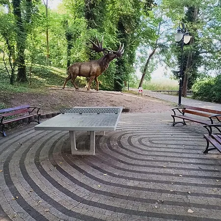 Obok Plazy Кемпинг *