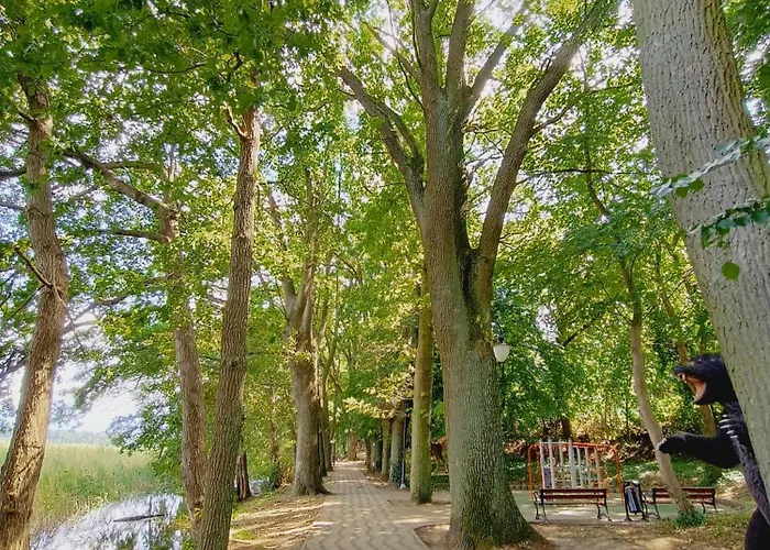 Camping Obok Plazy Moryn