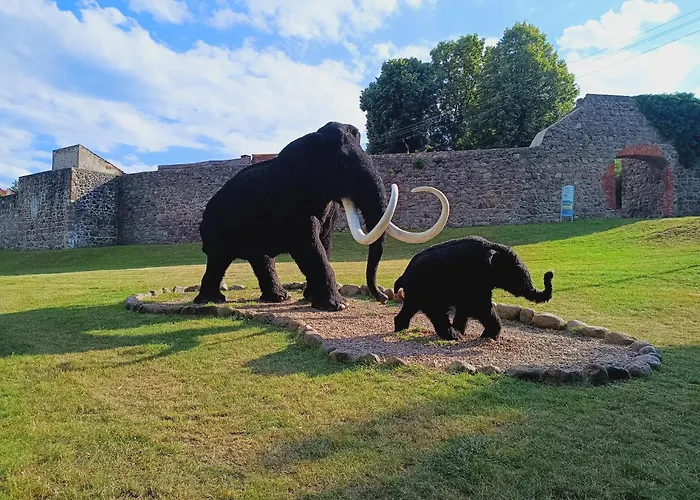 Camping Obok Plazy Moryn