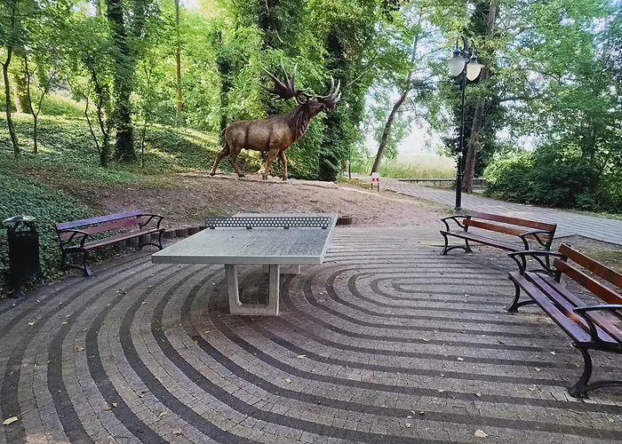 Obok Plazy Camping *